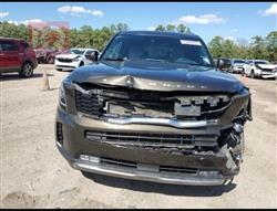 كيا تيلوريد